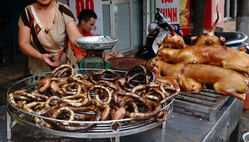 Mơ ăn thịt chó là gì? Vì bạn mơ thấy ăn thịt chó? Tốt hay xấu?